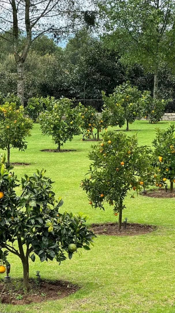 NjokuOkpuka farmland